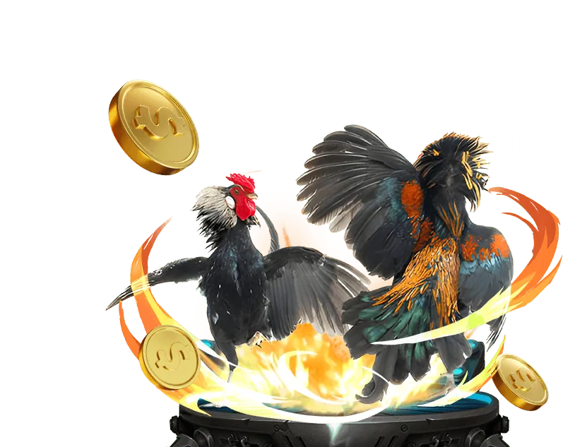 Tham gia đá gà Man88 ngay